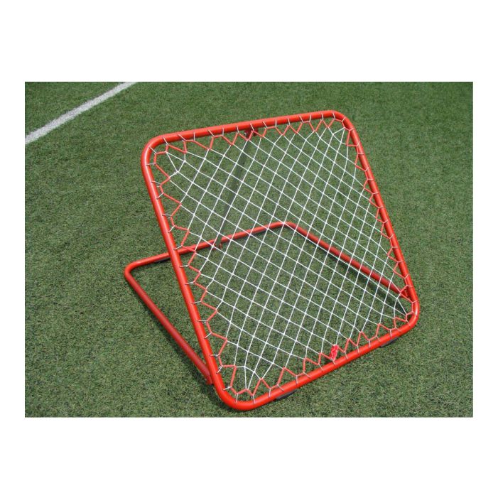 ECONOMY REBOUNDER Sapphire Sports